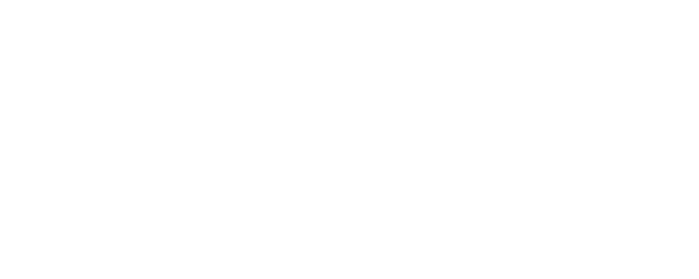 light logo
